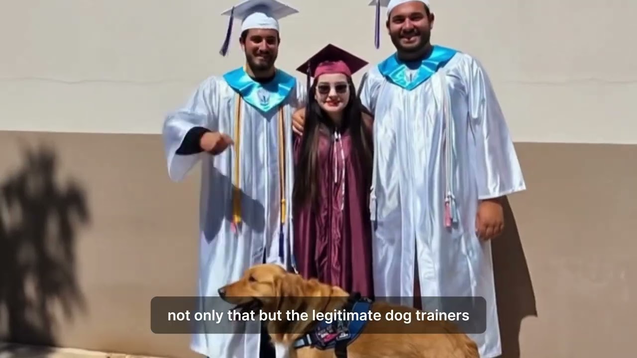 TRAINED DOGS FOR SALE