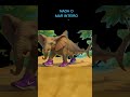 tubaronelo elephanteiro. #brianrot #edit #tubarões #elephant #tralalerotralala