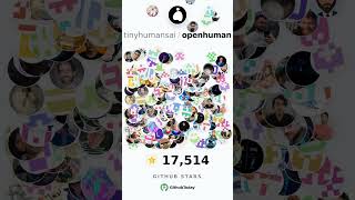 GitHub Trending Repo - tinyhumansai-openhuman-19-05-2026