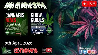 The Evolution of Autos! Trump Changes Psychedelics Law? | Cannabis and Diabetes | Cannabis News