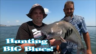 Fishing for BIG Blue Catfish! (Feat Dam River Boys!)