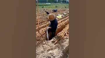 The Famous Powerful LuoYang Spade Best Digging Tool #satisfying #short