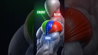 Download Lagu Grow your shoulders by training all three angles. 🏋️‍♂️🔥 MP3