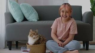 How to choose the right Cat for your family