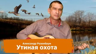 Александр Розенбаум - Утиная охота (кавер на гитаре)