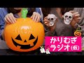 かりむぎラジオ(仮)第10回 ~コラボ動画撮影秘話~