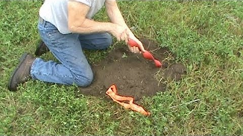 Quick and Easy Gopher Trapping Set With Burrow Buddy