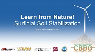 Learn from Nature! Surficial Soil Stabilization