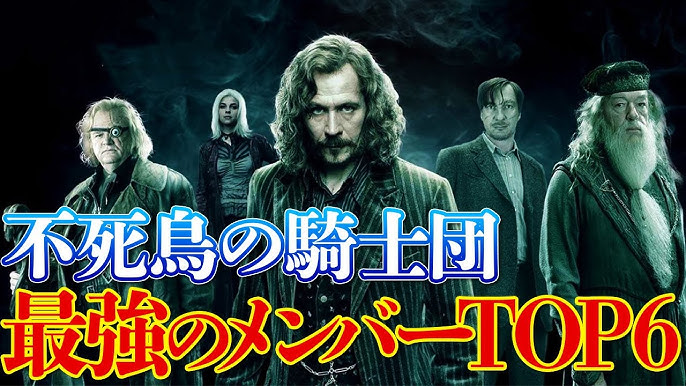 ハリーポッター 不死鳥の騎士団メンバー最強ランキングtop6 Youtube
