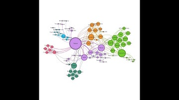 Gephi para iniciantes: Visusalizando Redes Complexas