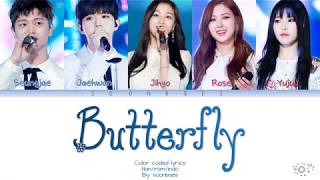 [COLOR CODED LYRICS Han/Rom/Indo Sub] SUNGJAE, JAEHWAN, JIHYO, ROSE, YUJU - BUTTERFLY