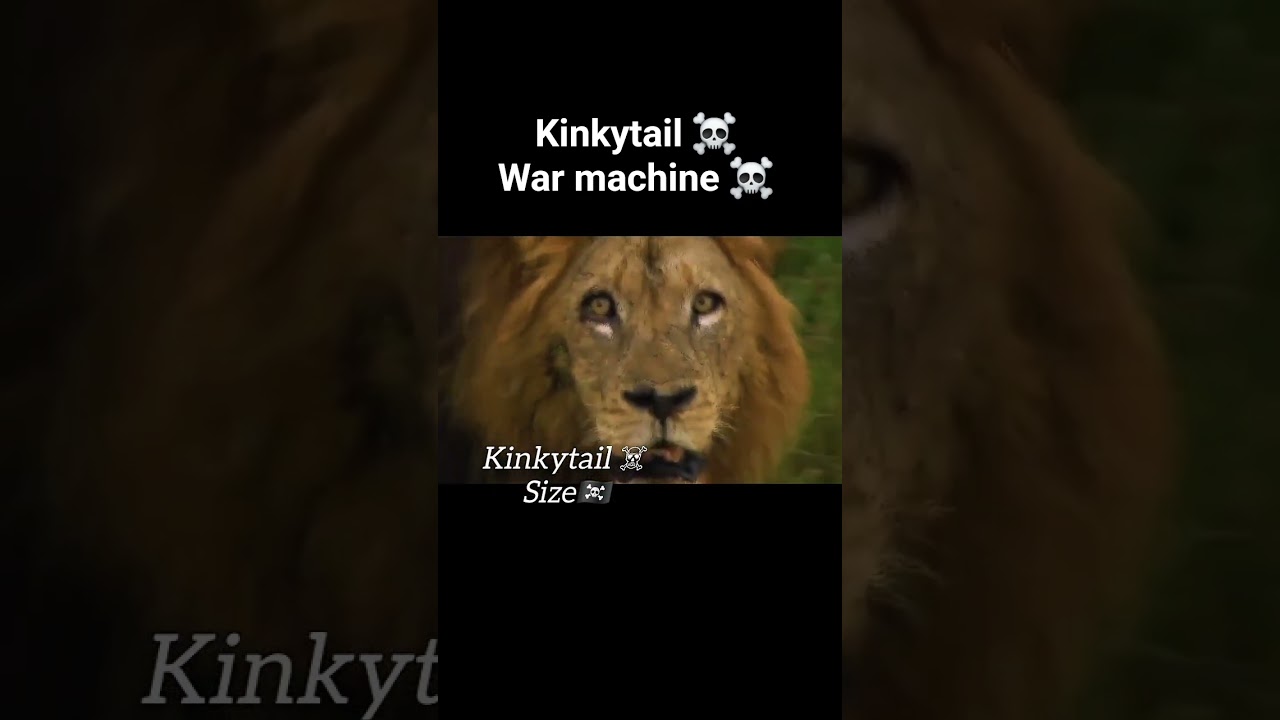 Everytime hungry for battles 🔥🏴‍☠️