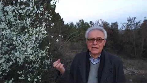 A cosa serve la Crataegus Oxyacantha?