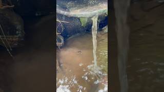 Download Lagu Hoki Banget Nemu Ikan Masuk Kedalam Lubang MP3