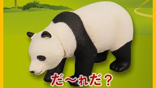 【公式】びーくるずー 「どうぶつのなまえをおぼえよう！２」【トミカ・プラレール・アニア】