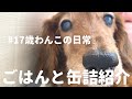 ドックフードと缶詰の紹介！17歳わんこは何を食べてるの？　ミニチュアダックスフンド