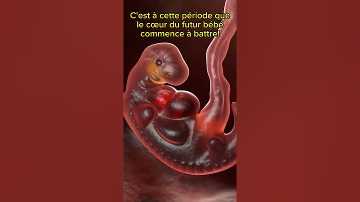 L'embryon à 6 semaines de vie!