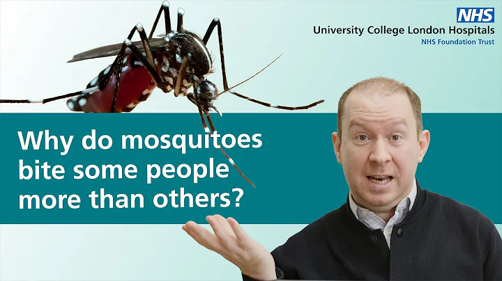 Why do mosquitoes bite some people more than others?