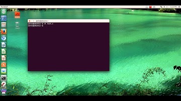 Assign max value of int to float