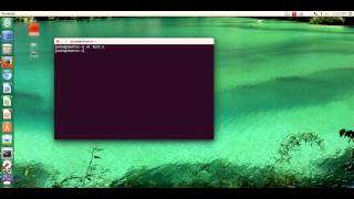 Assign max value of int to float