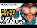 가슴근육을 키우려면 당신은 '이 운동'을 해야합니다!