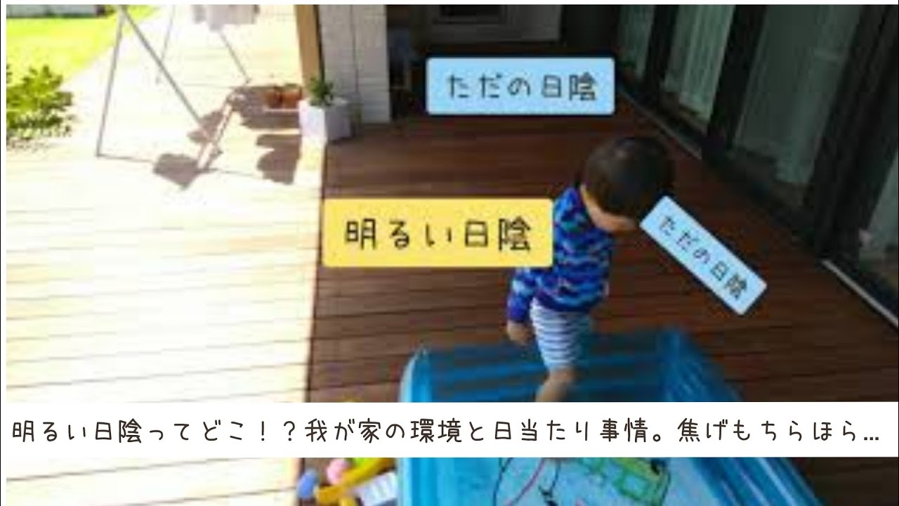 多肉植物 我が家の環境 明るい日陰 ってどこ うちはここでした 焦げそうな多肉さんもいます Youtube