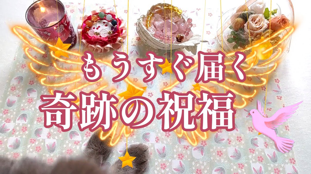 082.eriko耳💖「もうすぐ届く奇跡の祝福」✨💐✨　強力な天界のエネルギーとともに祝福が届いています💕🌸🌈癒しと希望🌟愛・光・アセンション🕊️🩷オラクル🃏　ルノルマン👑タロット🔮🎁🚀👼