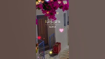 تلاوة للقارئ ياسر الدوسري #اكسبلور #دويتو #تيك_توك #duet