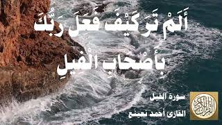 105 أحمد نعينع - سورة الفيل