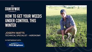 Getting your weeds under control this winter // Joseph Watts, PGG Wrightson Agronomy