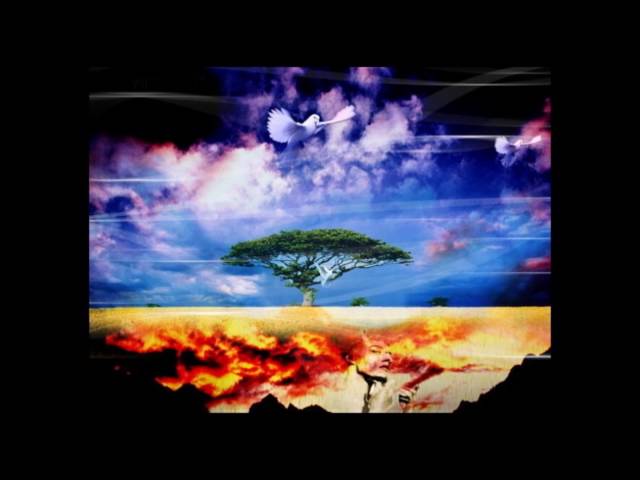 Myladissh - la vie est belle ( instru ART AKNID & SOFIANE PAMART - "Between Hell & Paradise" )