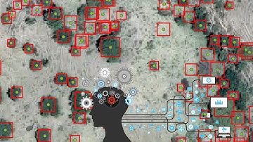 Automatically Identify Trees in an Image in ArcGIS Pro with Deep Learning