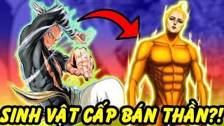 Bán Thần Là Gì? | Những Quái Vật Cấp Bán Thần Trong One Punch Man