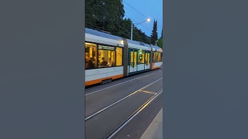 Tram series|German mobility|Public transport #german #germany#tram