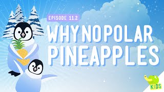 Why No Polar Pineapples: Crash Course Kids #11.2