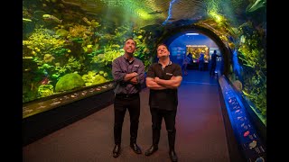 Famous Shark Tank's Matt Higgins Feeds the Sharks of NY Net Worth