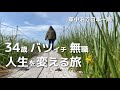 生まれ変わりの旅その弐【出羽三山】私が旅にで出た本当の理由/山形県/月山