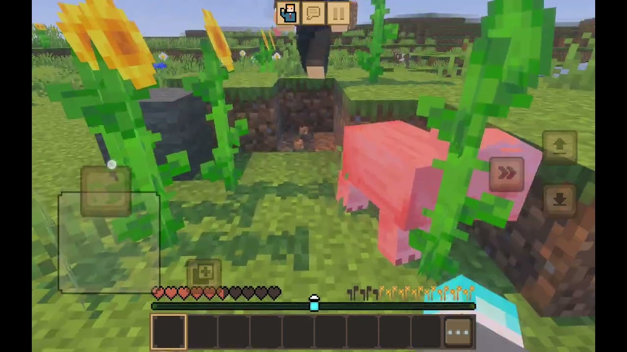 ٦ يناير ٢٠٢٦