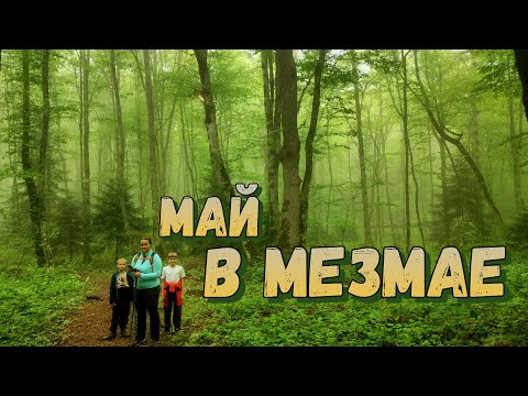 Видео: Наше майское путешествие в МЕЗМАЙ. Монахова пещера. Узкоколейка, водопады и величественный лес!