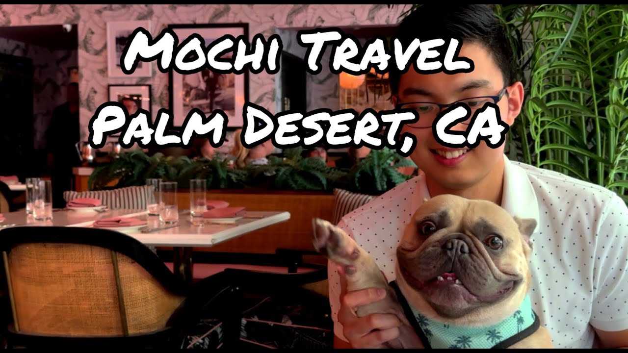 Soaking in the Sun at Palm Desert