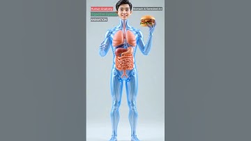 Digestive System Animation | How Food Travels Inside Human Body | Stomach AI Generated Art