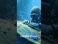 the brutal conditions of underwater trenches ! #trenches #underwater