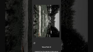 012146 - Wood Path III