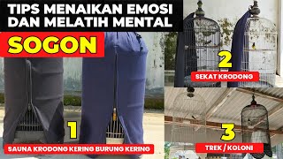 3 CARA MENAIKAN EMOSI DAN MENAMBAH FIGHTER SOGON❗WAJIB COBA❗