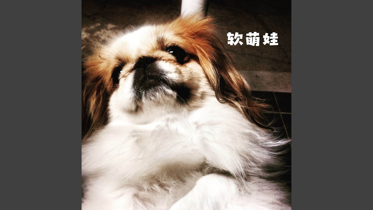 童心娃 ((吉他)) auf YouTube ansehen 童心娃 ((吉他)) auf YouTube ansehen