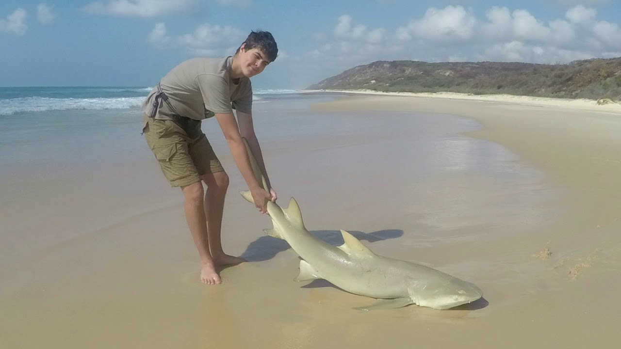 Fraser Island Fishing Trip 2017 (short) YouTube