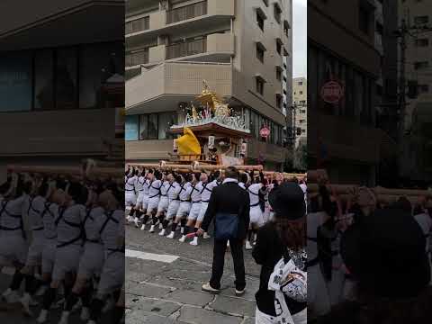 長崎くんち 中日 銀屋町 庭先回り 魚市橋近く 長崎県長崎市 11:45amころ　20241008