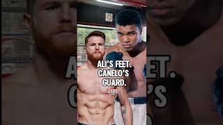 Alis Feet Canelos Guard This Sparring Defense Mastercl