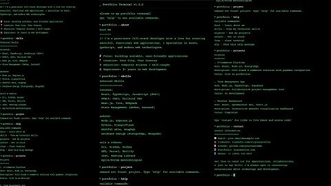 Terminal Style Developer Portfolio 🚀 | React + Vite + Tailwind CSS