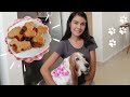 GALLETAS PARA PERRO con YUS | Premios para perro naturales con solo 4 ingredientes!!